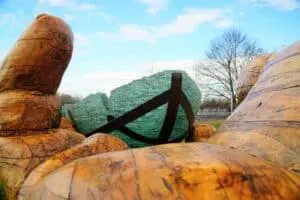 Die Installation zeigt eine Arche aus Glas, getragen von einer Holzhand. Das Kunstwerk symbolisiert die Natur, die Grenzen überwindet.