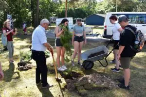 Zehn Schwarzkiefern wurden von den Jugendlichen aus Kroatien und aus der Rhön im US Camp gepflanzt.