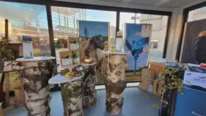 Der Stand war kreativ und anspruchsvoll von der Rhön GmbH gestaltet worden.