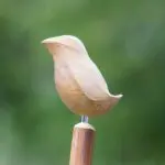 Immer mit dabei: Der extra für diese Veranstaltungsreihe aus Vogelbeerbaum (Braunkehlchen) und Esskastanie (Stock) angefertigte Wanderstock.