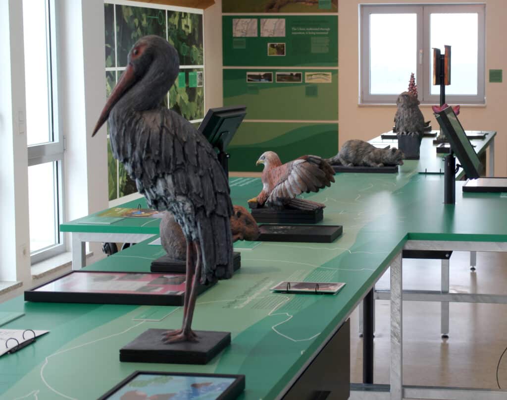 05_Vom Todesstreifen zur Lebenslinie_Ausstellung Biosphäre