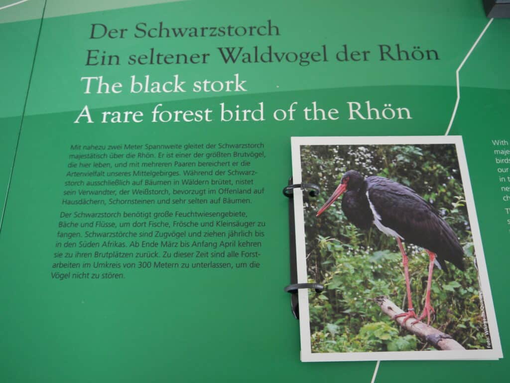 Biosphäre_M.Duerrschmid (07)
