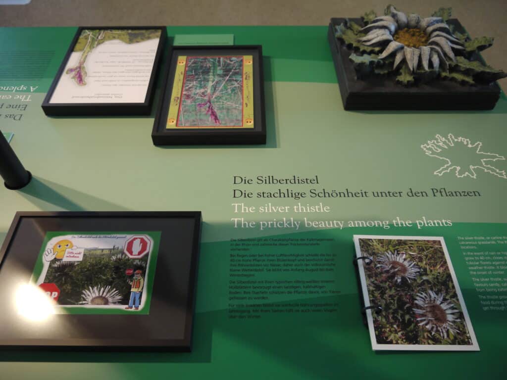 Biosphäre_M.Duerrschmid (16)