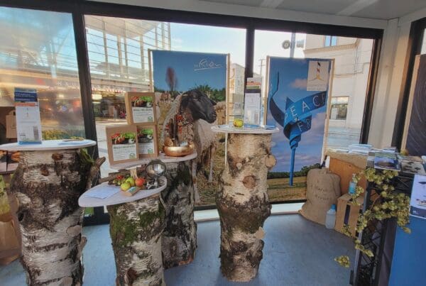 Der Stand war kreativ und anspruchsvoll von der Rhön GmbH gestaltet worden.