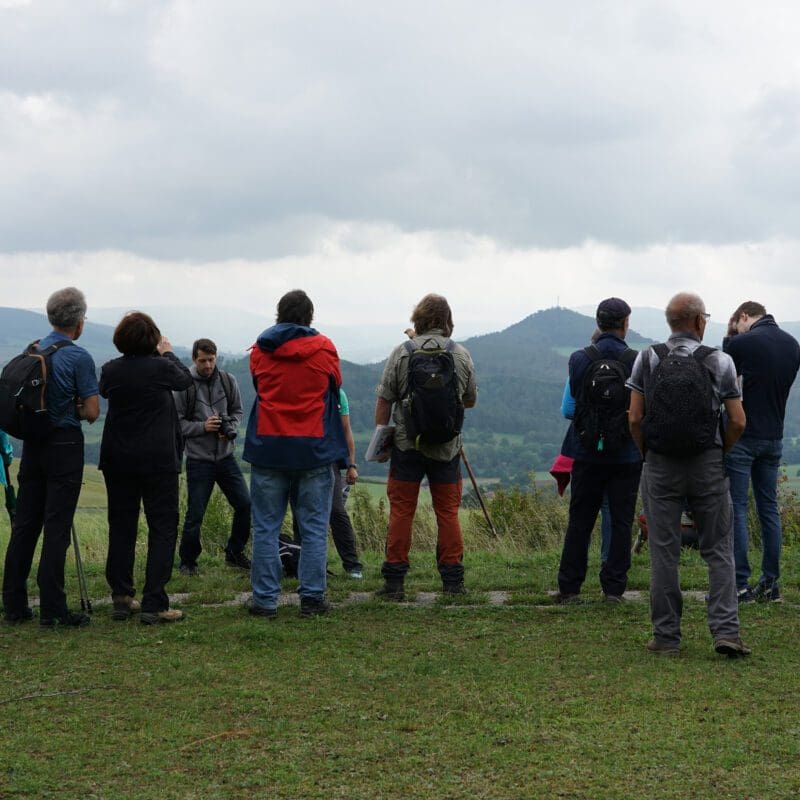 Teilnehmer der Wanderung "NaTour" genießen den Blick in "offene Ferne" der Kuppenrhön.